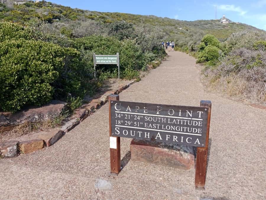 Full-Day Private Excursion: Cape of Good Hope and Penguins - A private route through Cape Town’s famous southbound views