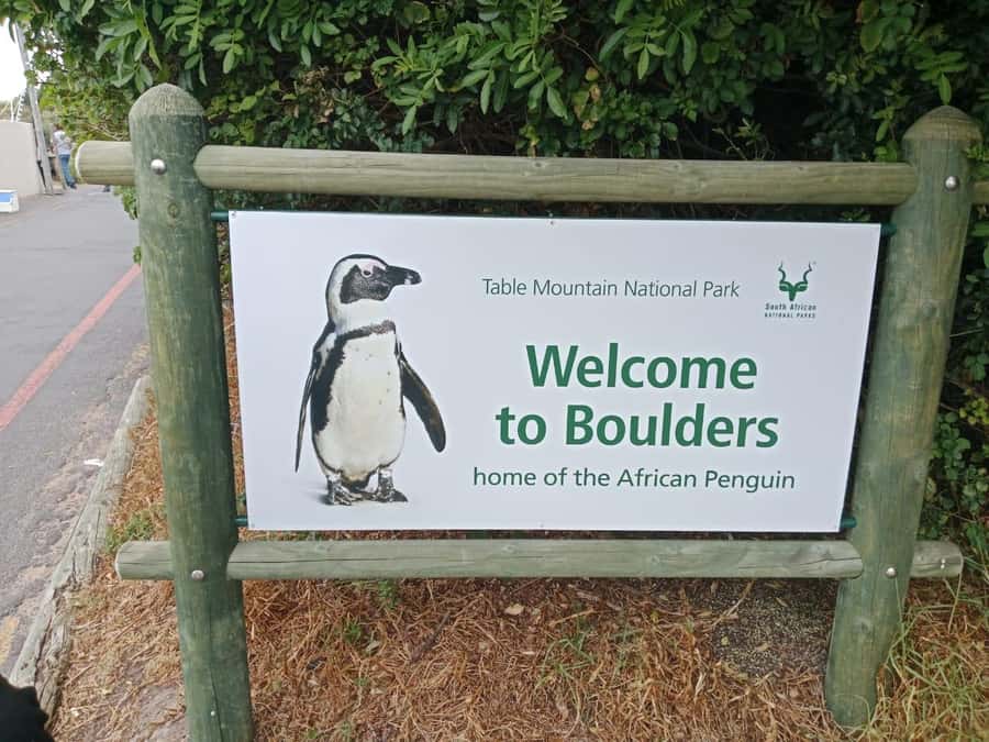 Full-Day Private Excursion: Cape of Good Hope and Penguins - Boulders Beach and the African penguin colony