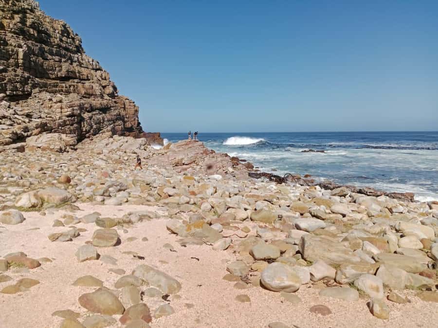 Full-Day Private Excursion: Cape of Good Hope and Penguins - Simons Town for lunch, shops, and a slower finish
