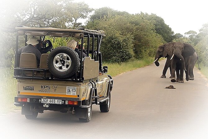 Full Day Private Kruger Park Safari - A private open-top 4x4 changes the feel