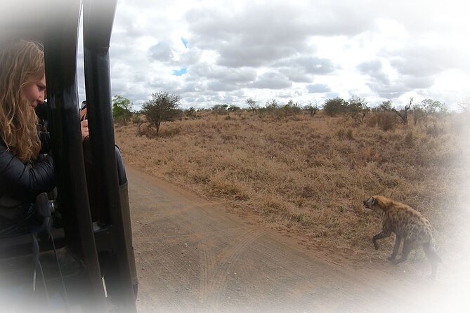Full Day Private Kruger Park Safari - Afternoon sightings require patience