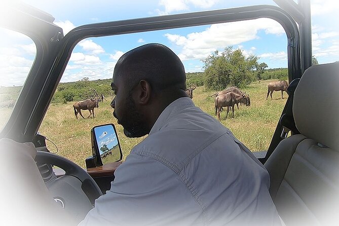 Full Day Private Kruger Park Safari - The guide can make or break a safari