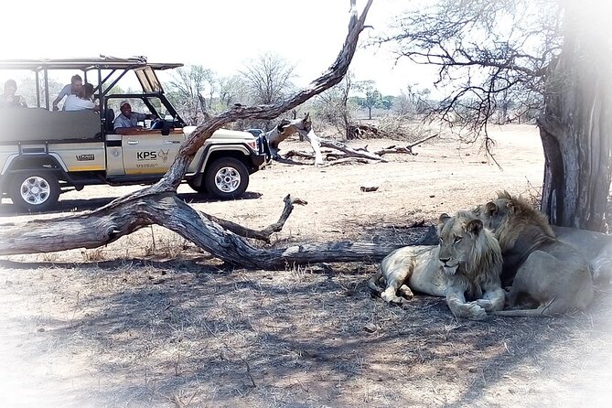 Full Day Private Kruger Park Safari - How the $143.78 price measures up