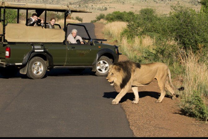 Full Day Safari Tour of Pilanesberg National Park, Open Jeep experience - Is $155.29 good value?