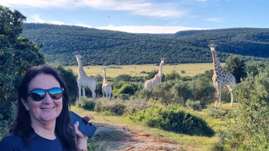 Full-Day Schotia Game Reserve & Giraffe Walk (Open 4x4) - Key points to know before you book