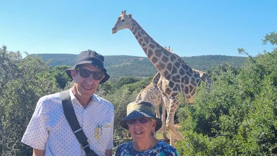 Full-Day Schotia Game Reserve & Giraffe Walk (Open 4x4) - A 90-minute braai lunch at a nearby farmstall