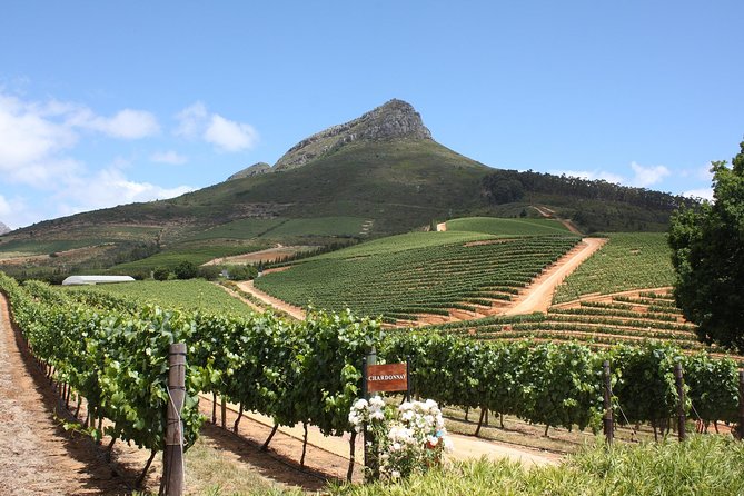 Full-Day Stellenbosch, Franschhoek and Paarl Wine Tasting Tour from Cape Town - How the time and value really work
