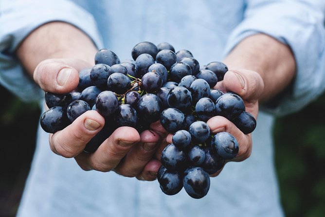 Full-Day Stellenbosch, Franschhoek and Paarl Wine Tasting Tour from Cape Town - Who should book this Cape Winelands tour?