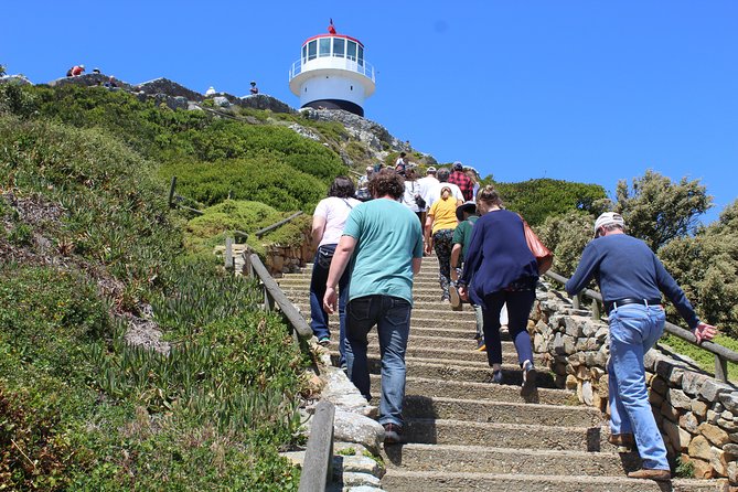 Full-Day Tour to Cape Point and Cape of Good Hope - Chapman’s Peak is the road-trip highlight