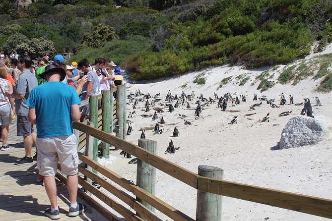 Full-Day Tour to Cape Point and Cape of Good Hope - The Cape of Good Hope brings wildlife and open coast