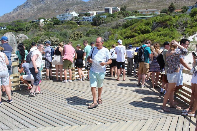 Full-Day Tour to Cape Point and Cape of Good Hope - Boulders Beach puts penguins within easy reach