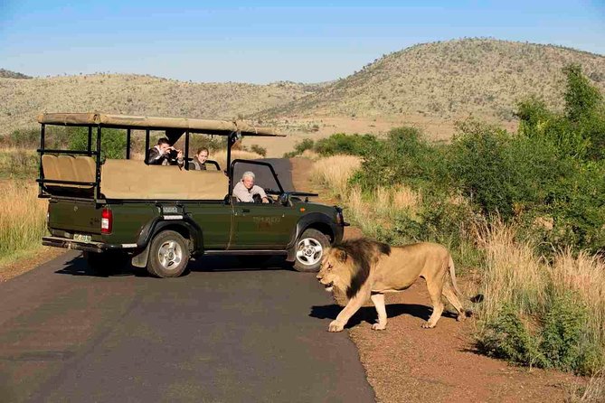 Full Day Ultimate Pilanesberg National Park Safari from Johannesburg or Pretoria - Wildlife sightings you can realistically hope for