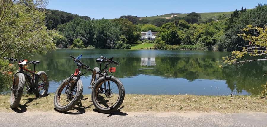 Full-Day Winelands E-Bike Tour with Wine Tasting & Lunch - Hilltop sparkling wine and fresh country air