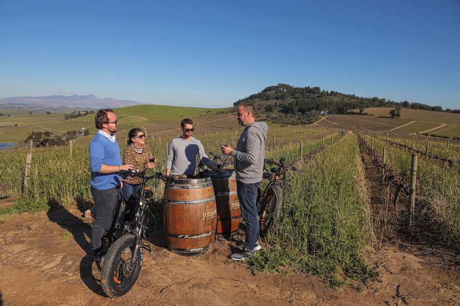 Full-Day Winelands E-Bike Tour with Wine Tasting & Lunch - Who should book this Winelands ride?
