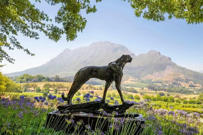 Full Day Winelands Tour With Wine Tasting from Cape Town - Four estates, two wine regions, one long day
