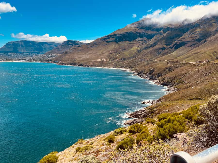 Fully Day Cape Of Good Hope, Penguins, Bo Kaap , Seals Tour - The Cape Point funicular and the current meeting point