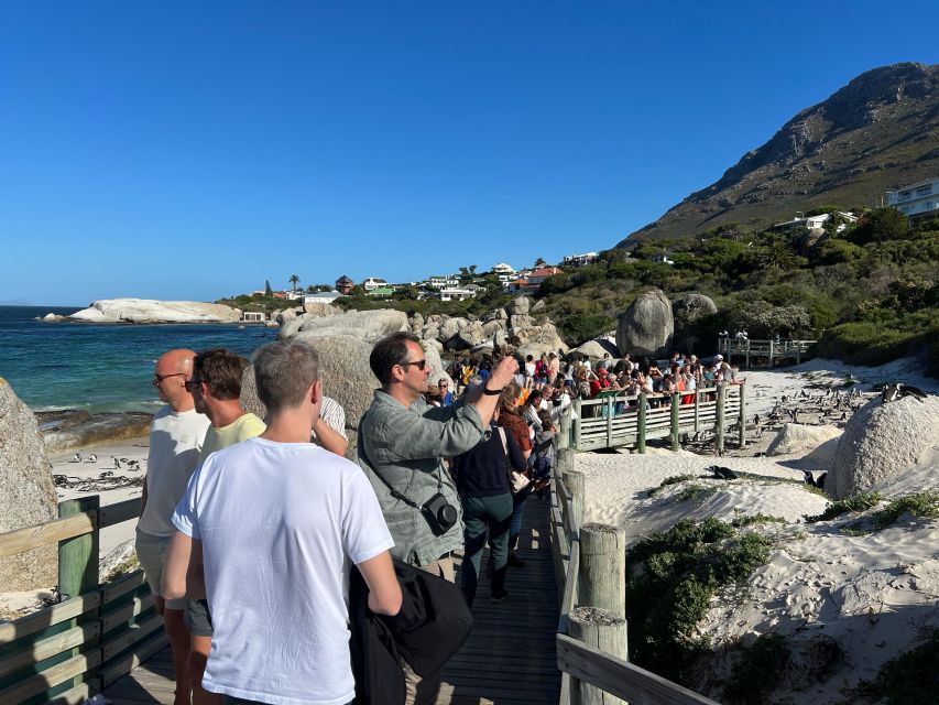 Fully Day Cape Of Good Hope, Penguins, Bo Kaap , Seals Tour - Chapman’s Peak and the Noordhoek coffee break