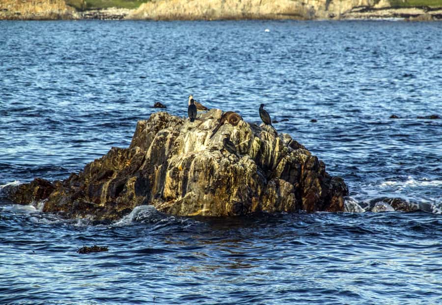 Gansbaai and Big 5 Sea Safari Full-Day Tour from Cape Town - Peregrine Farm Stall and the trip back