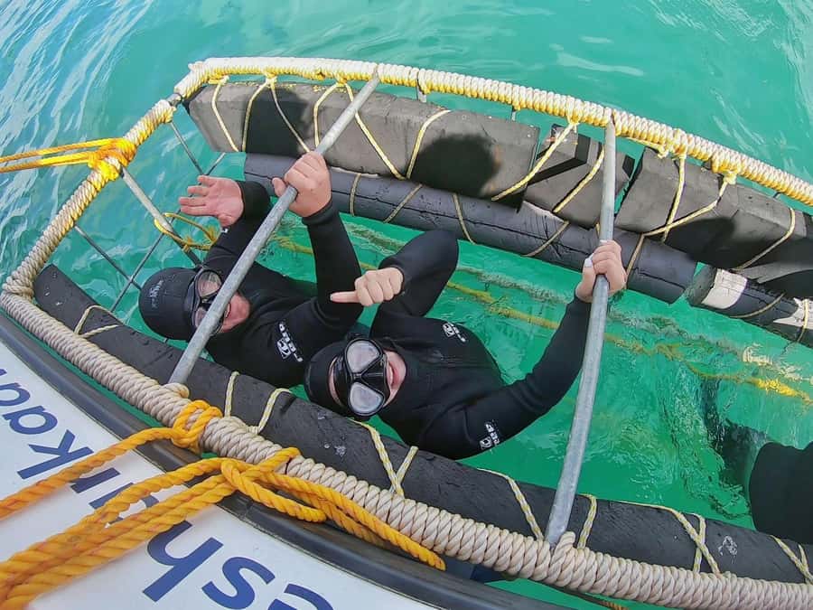 Gansbaai: Shark Cage Diving and Shark Viewing Boat Trip - Choosing the Cage or Staying on Deck