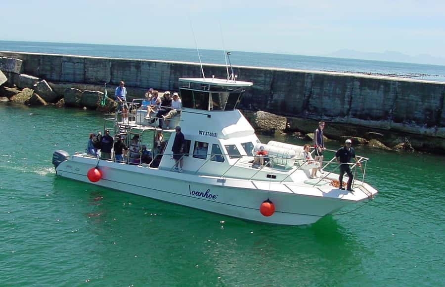 Gansbaai: Whale Watching Trip by Boat - Key points to know before you go