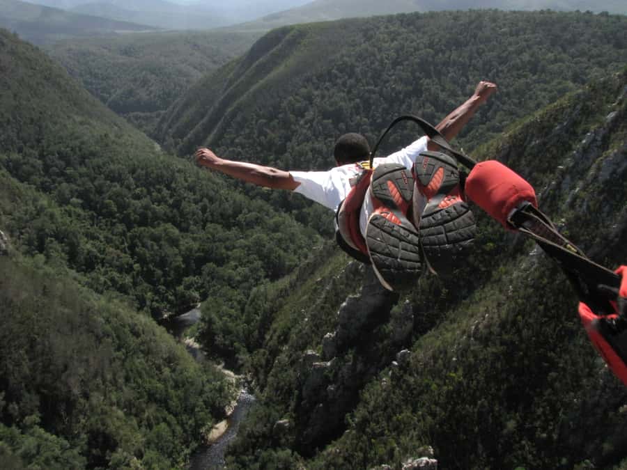 Garden Route and Addo Elephant National Park: 5-Day Safari - Day 5: Addo Elephant National Park and Port Elizabeth
