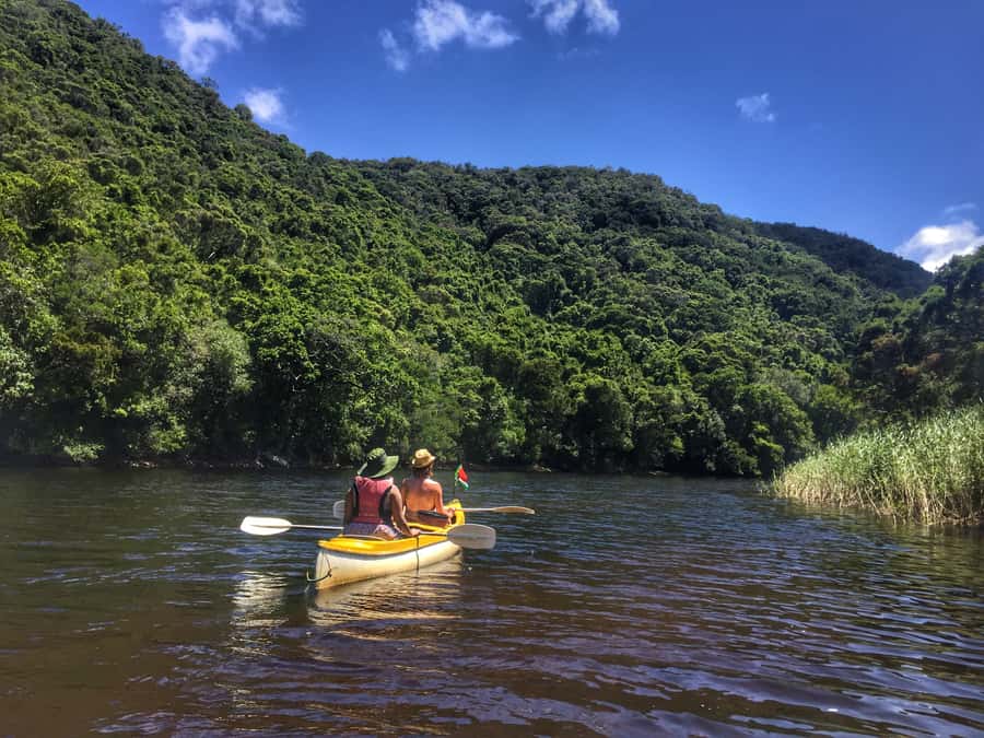 Garden Route and Addo Elephant National Park: 5-Day Safari - Day 1: Betty’s Bay penguins, Hermanus and Cape Agulhas