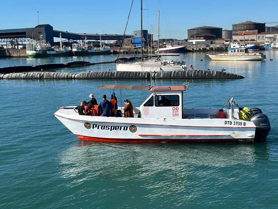 Gqeberha: 30 MINUTE HARBOUR CRUISE - Thirty minutes among working ships