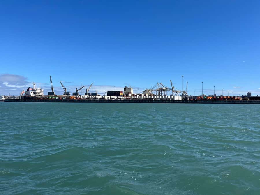 Gqeberha: 30 MINUTE HARBOUR CRUISE - Why the short format works