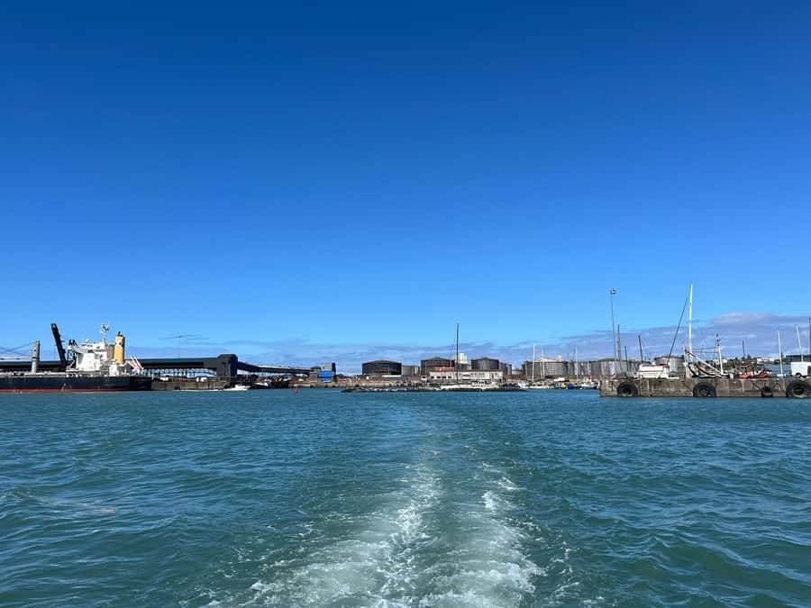 Gqeberha: 30 MINUTE HARBOUR CRUISE - Who will enjoy the maritime focus