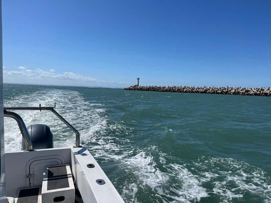 Gqeberha: 30 MINUTE HARBOUR CRUISE - Weather can shape the experience