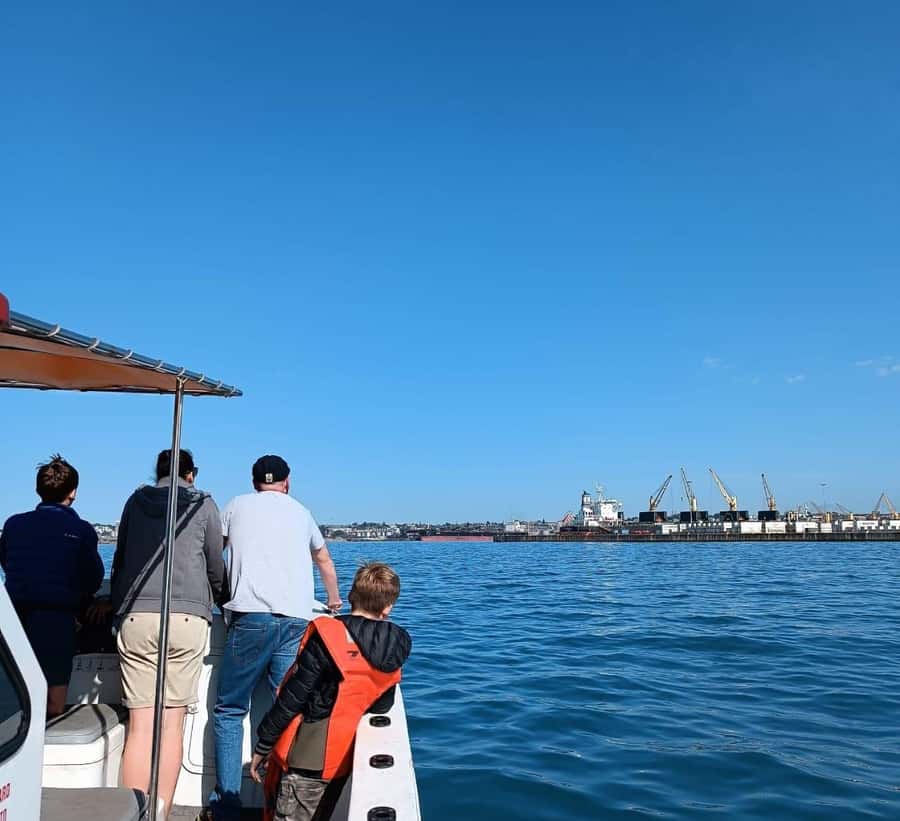 Gqeberha: 30 MINUTE HARBOUR CRUISE - Leaving Nelson Mandela Bay Yacht Club