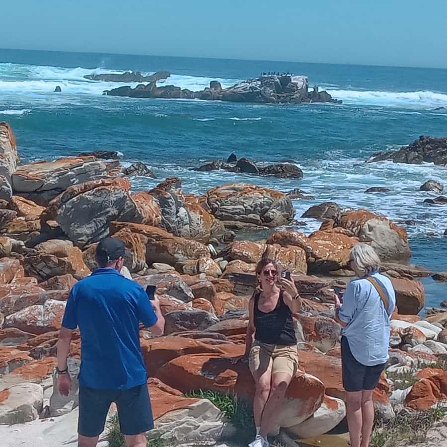Gqeberha: City Highlights Car and Walking Tour - Is $56 a fair price?