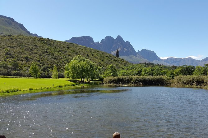 Guided Bike Tour of Stellenbosch - Stark-Condé and the Jonkershoek valley