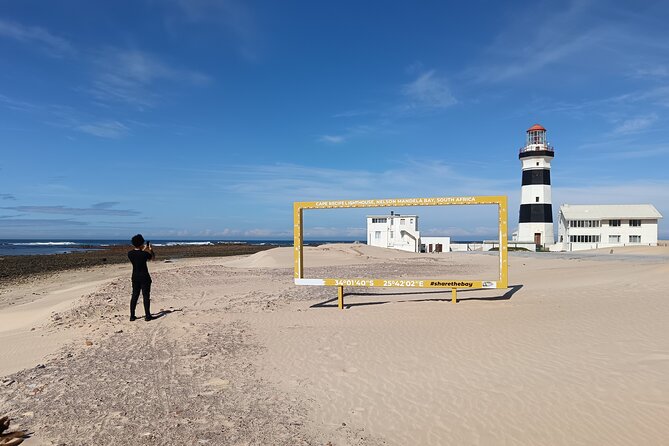Guided Port Elizabeth Coastal Tour - A quick coastal tour with real variety