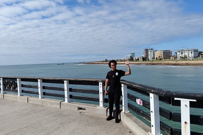 Guided Port Elizabeth Coastal Tour - SANCCOB is the heart of the experience