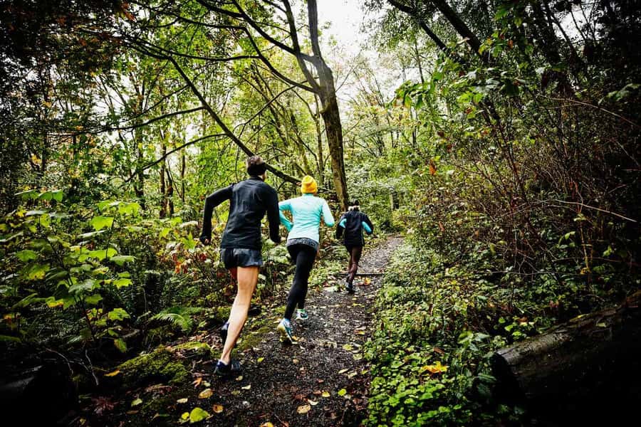 Guided Sunrise Adventure Trail Run Table Mountain, Cape Town - Key points to know before you run