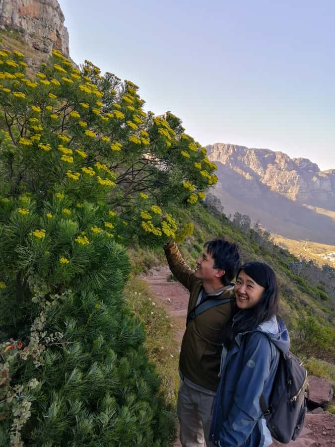 Guided Table Mountain Hike – Kasteelspoort Scenic Route - Two hours through the Valley of the Red Gods