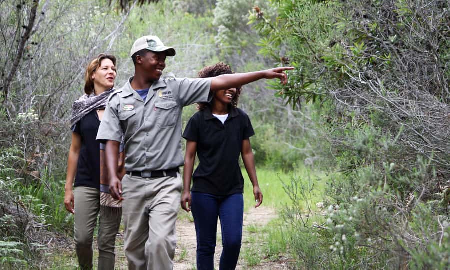 Guided Wildlife Tour and Forest Walk with Lunch Platter - Key points to know before booking