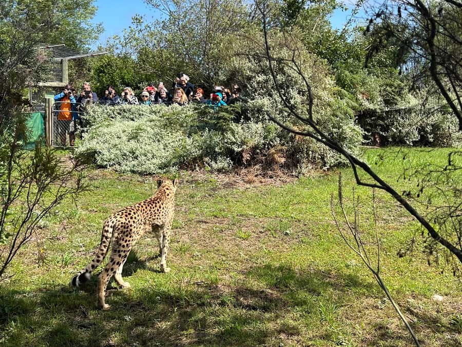Guided Wildlife Tour and Forest Walk with Lunch Platter - Who should book this outing?