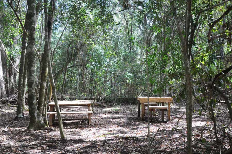 Guided Wildlife Tour and Forest Walk with Lunch Platter - Booking, timing, and cancellation details