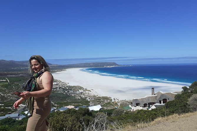 Half day African Penguin Tour - Who should book this half-day outing?