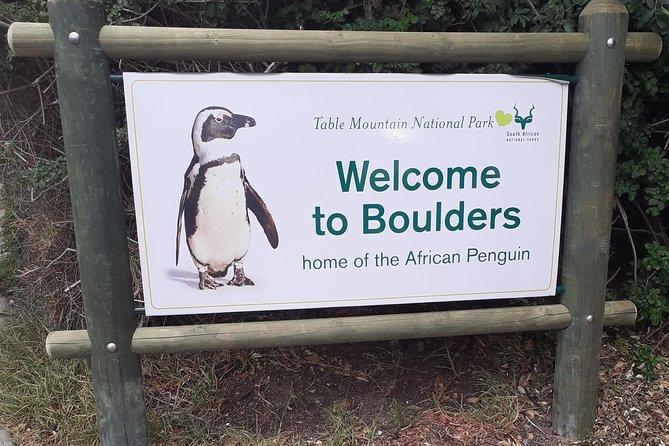 Half day African Penguin Tour - Hout Bay adds local history and harbor life