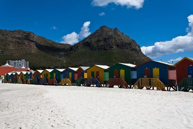Half day Cape Point Sightseeing Tour with Penguins from Cape Town - The return route adds Simons Town and Muizenberg
