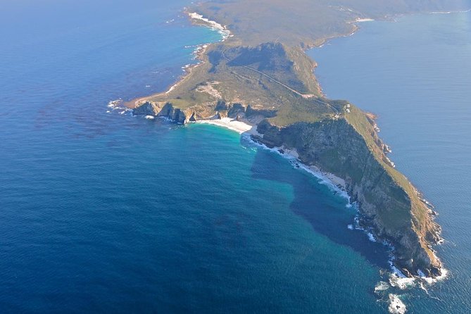 Half day Cape Point Sightseeing Tour with Penguins from Cape Town - The guide can make or break a fast tour