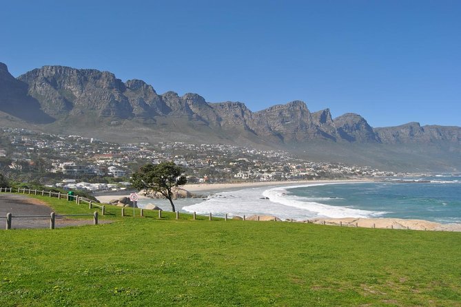 Half day Cape Point Sightseeing Tour with Penguins from Cape Town - Why the half-day format works, and where it falls short
