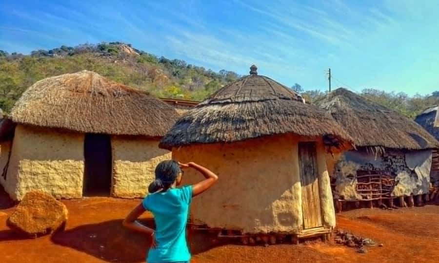 Half Day Durban City Tour and Phezulu Safari Park - Transport, guide support and the daily pace