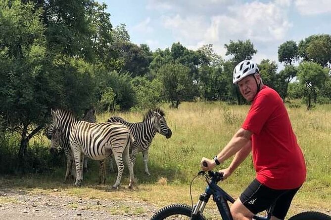 Half Day E-Biking with Wildlife Watching in Pretoria - How much work does the e-bike require?