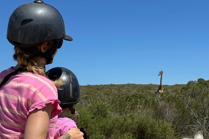 Half day Horse back safari - Crossing to !Khwa ttu San Heritage Centre