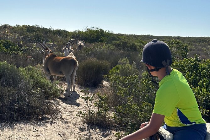 Half day Horse back safari - The practical drawbacks to consider