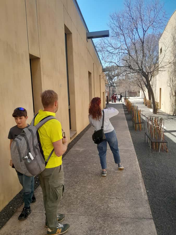 Half Day Private Soweto and Apartheid Museum tour - Timing, pickup, and practical comfort